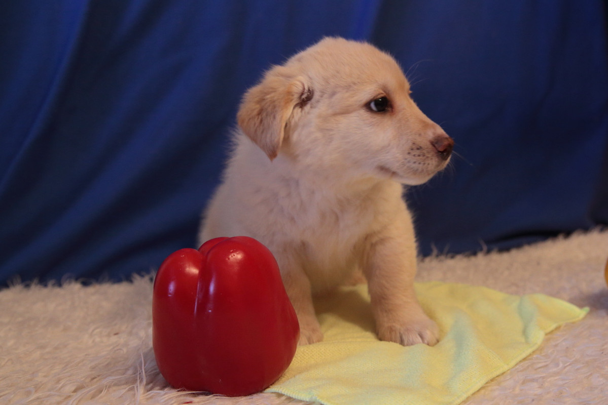 E0589F24-284D-4B14-9608-74DAA61A3F7A