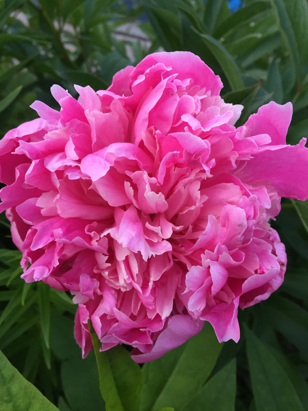 848C6FE3-DC70-4A71-ABA4-A287B02B89A0