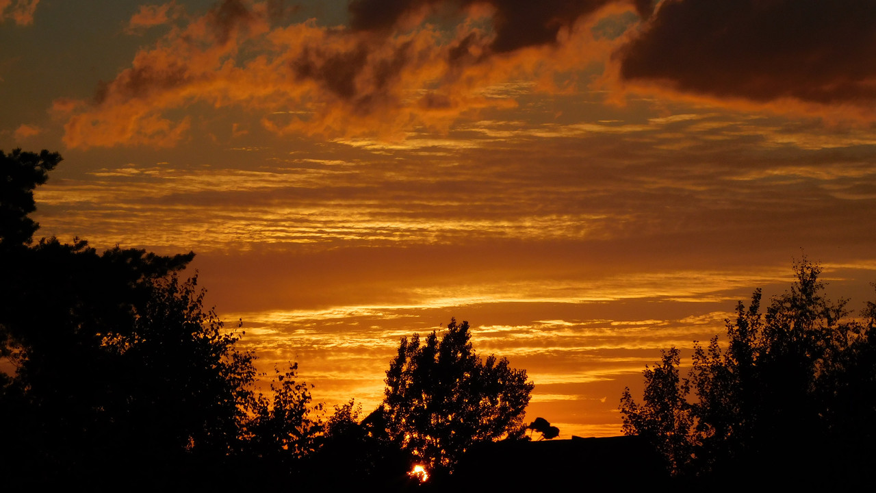 Август дачный кукольный 2023 020