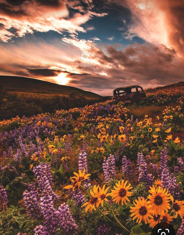 Screenshot_20240324_220708_Pinterest