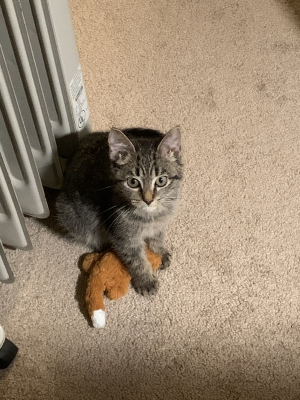 13851EBC-18D6-48DC-9121-10FE7883E822