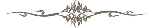 clip-fancy-line-28.png