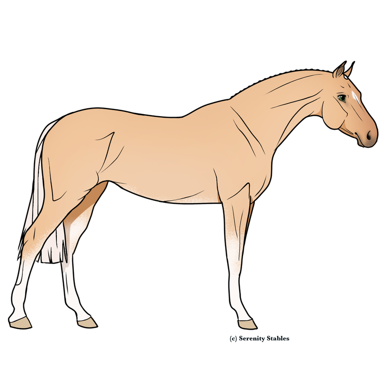 Untitled501-20240513210855.png