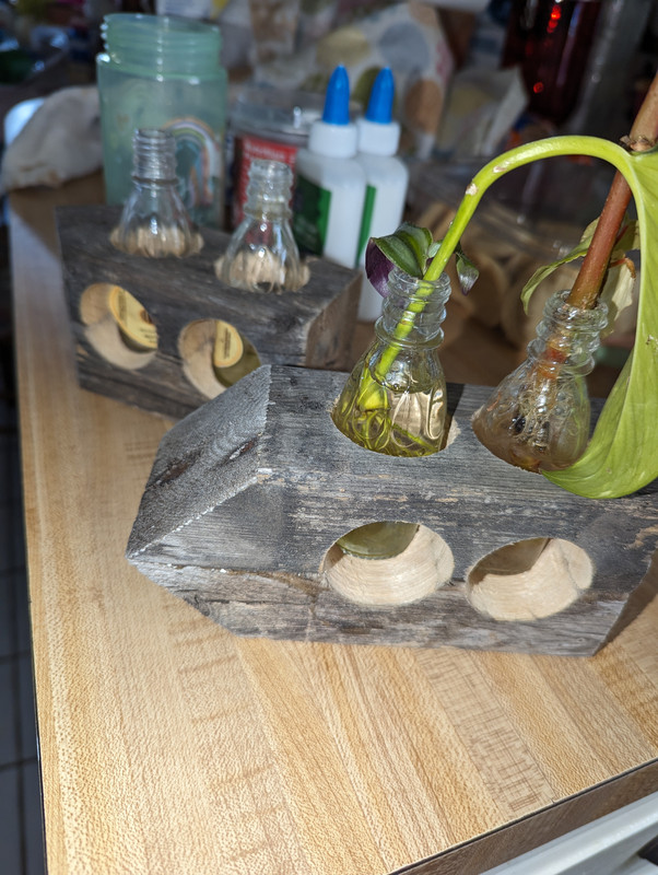 PXL_20250314_213952677[1]