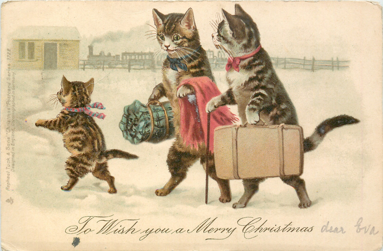 2012-12-12-13-46-50