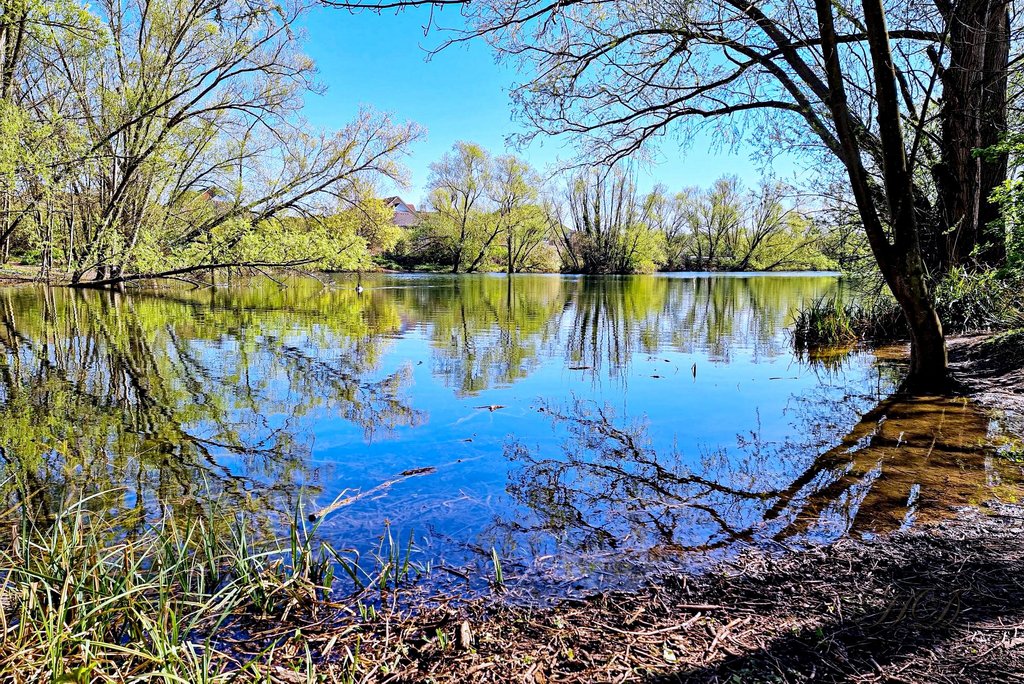 autumn-Lake-HD.jpg