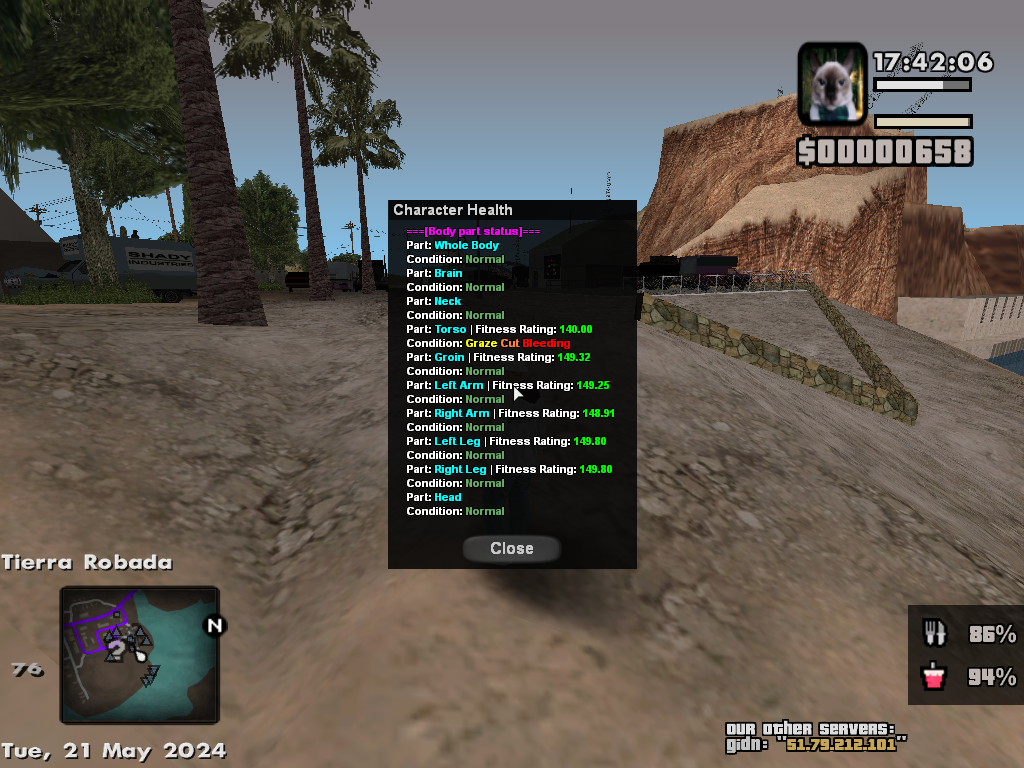 samp-21-05-2024-17-42-07.png