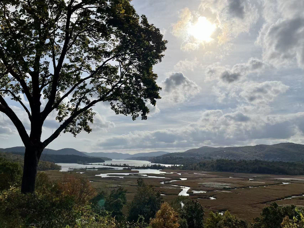 16890ca5a6f958422f1f507177af23cc