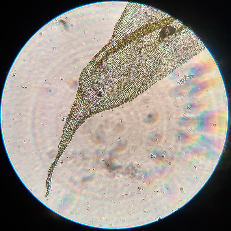 IMG 20250616 212559 HDR