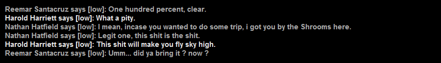 t13.png