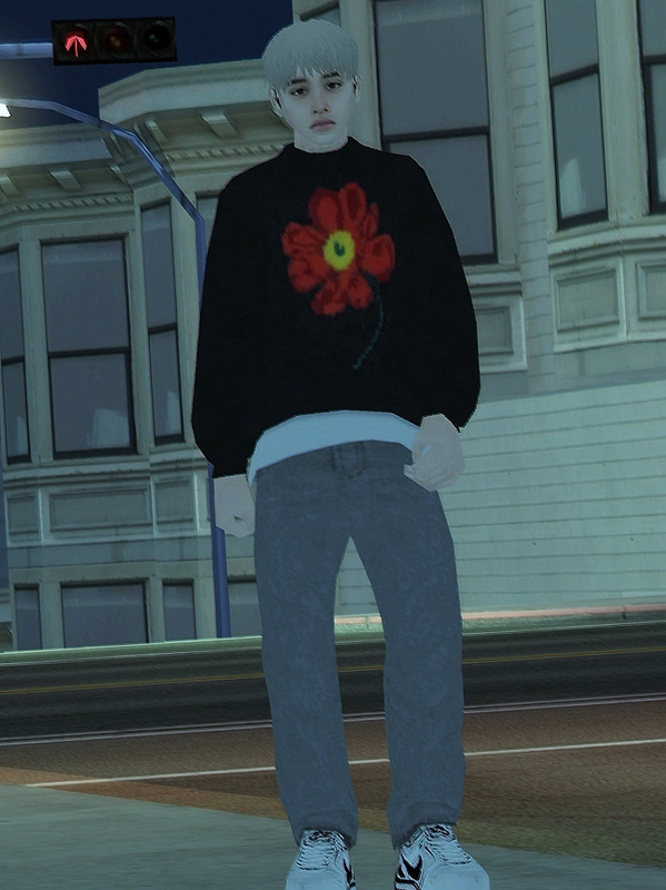 Taro-Sora.png
