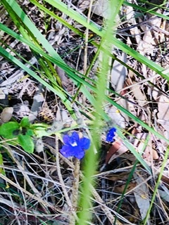 1-EC81456-0-BE7-41-C6-B5-FB-325-DDC4-EBB