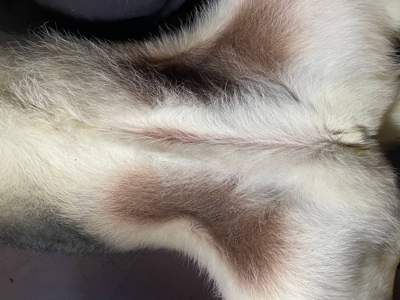 IMG 20251204 224011 618