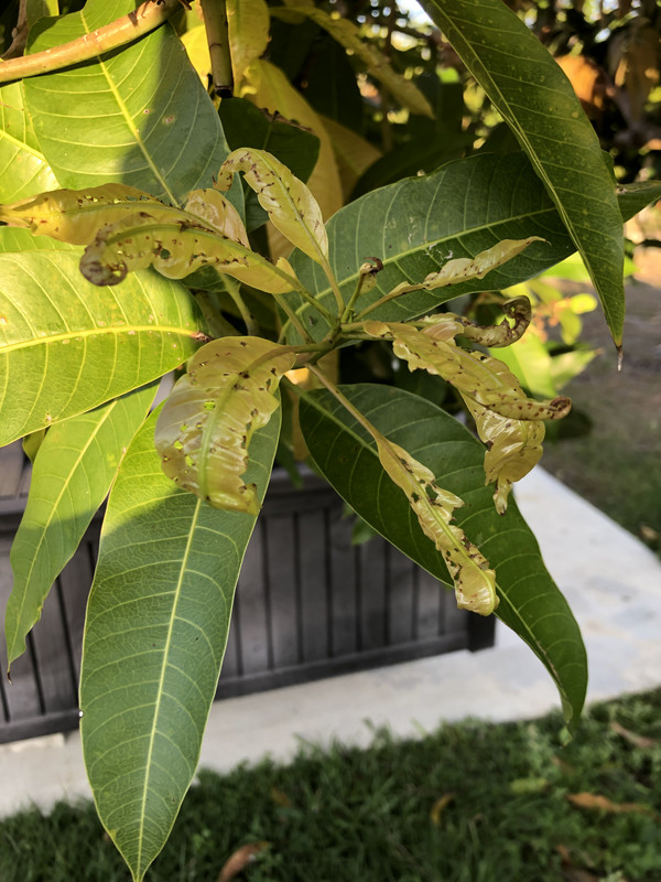 2023-03-27 Phone Pics 039