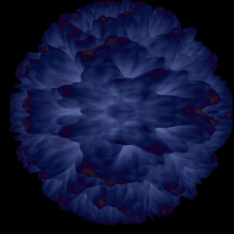 giphy-16