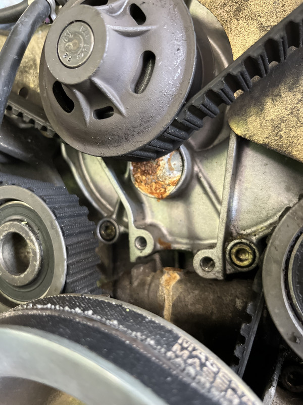 70551344801__D2F9316D-E48B-45A7-803E-272DD0B9FD90