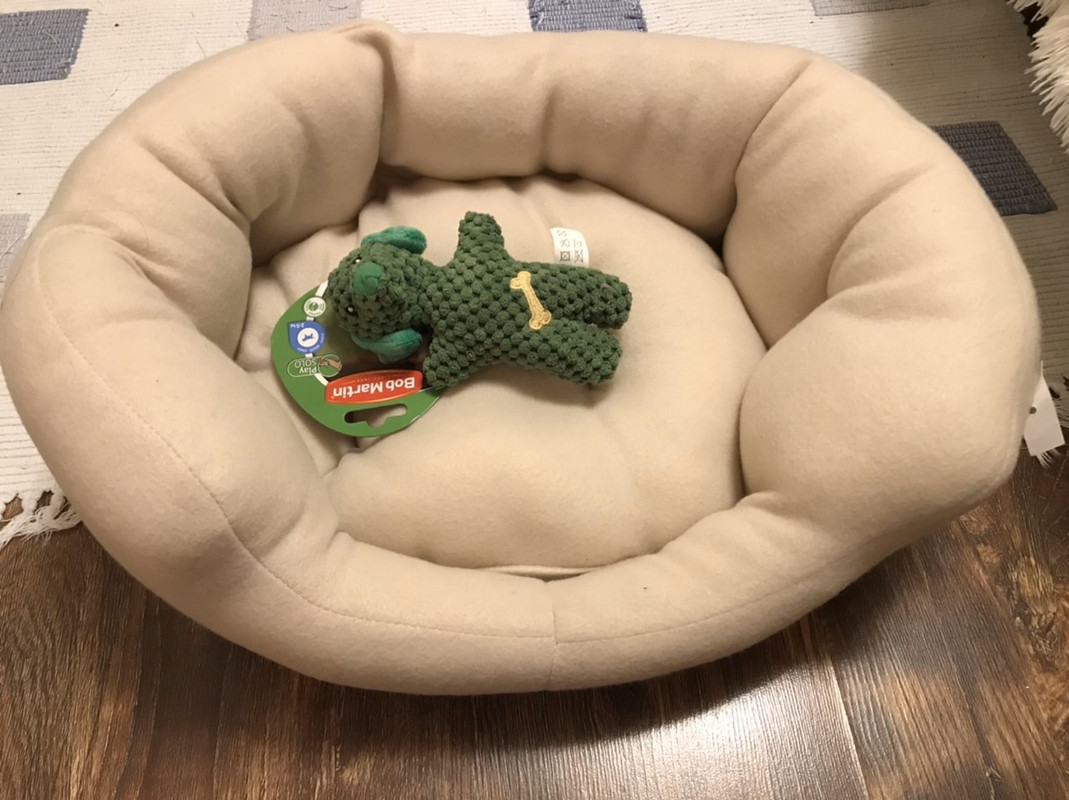 27AF7BF7-9065-4DDE-A50D-32DEC73D2FF3