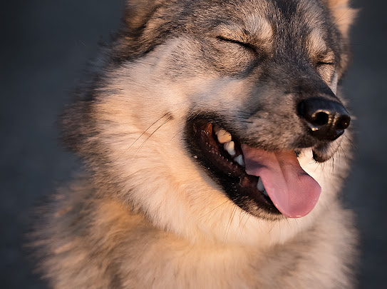 изображение_viber_2022-01-10_11-24-51-597