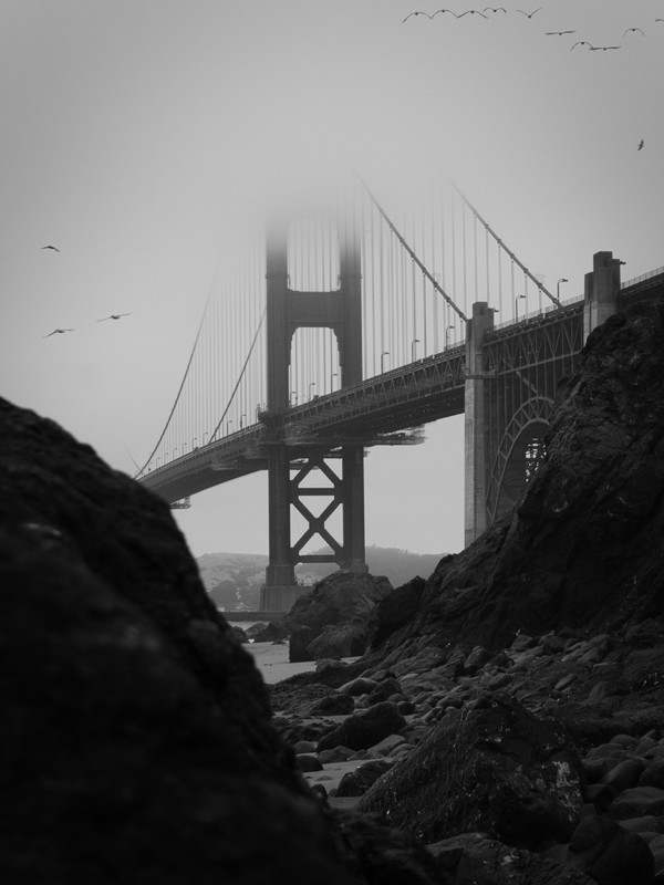 A monochrome picture of the Golden-Gate-Brige.