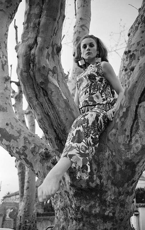 francoise_dorleac_zb16