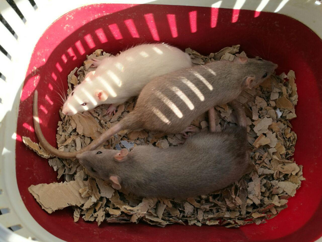 photo_2017-11-05_13-06-52