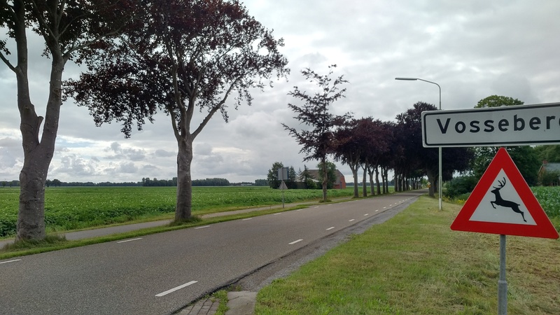 IMG_20170715_1045327