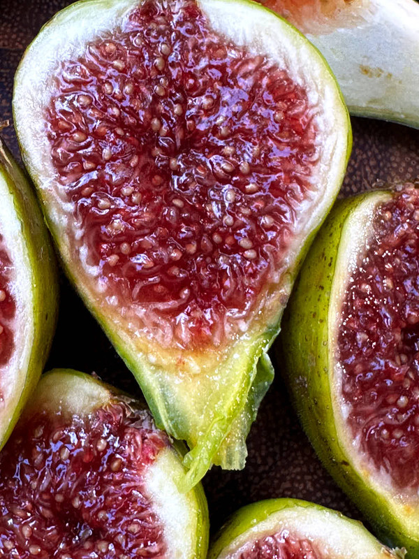 figs-31.jpg