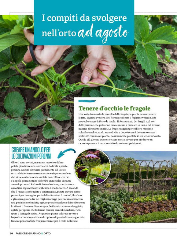 Pass Giar e Orto Lug 2025 (5)