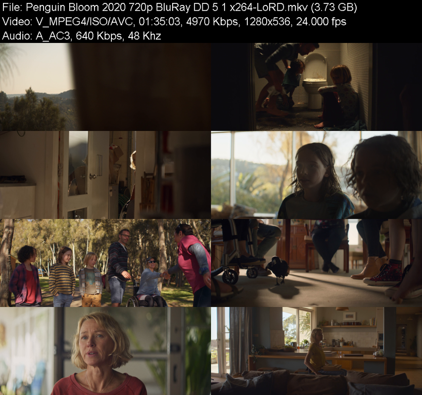 penguin-bloom-2020-720p-bluray-dd-5-1-x2