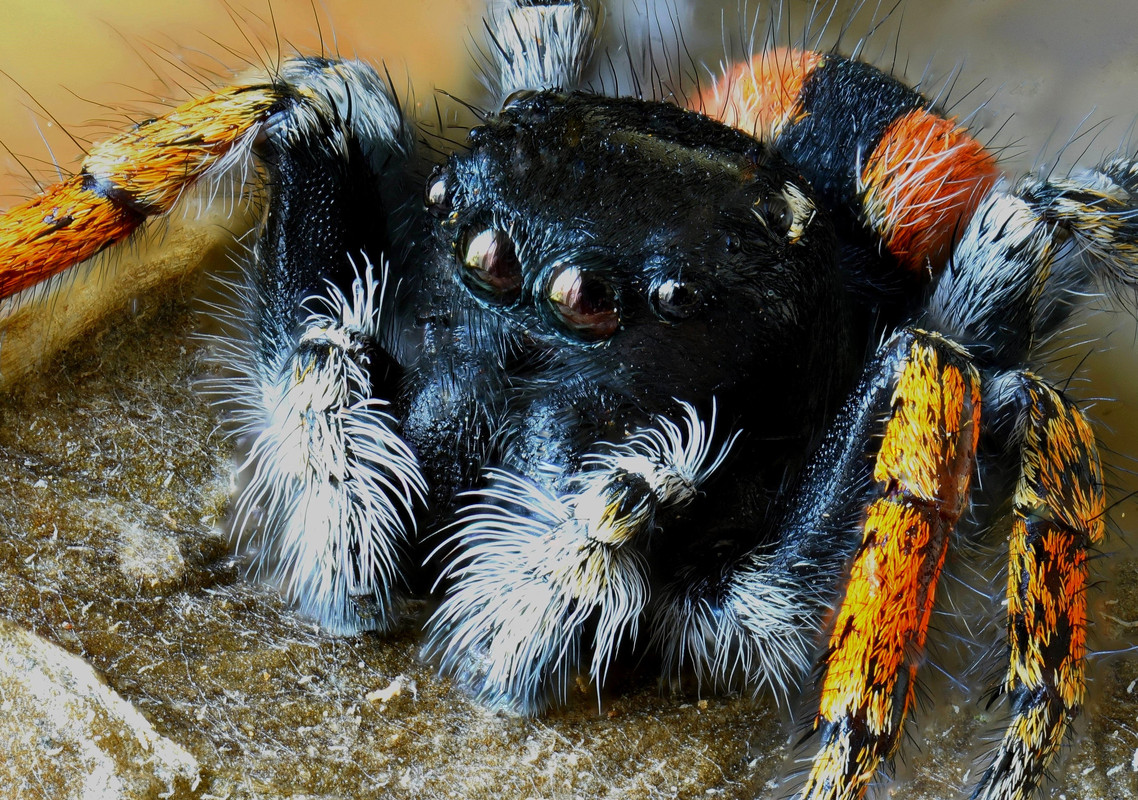 OGGI PHIL 3_01 (5)_01-min_01_01