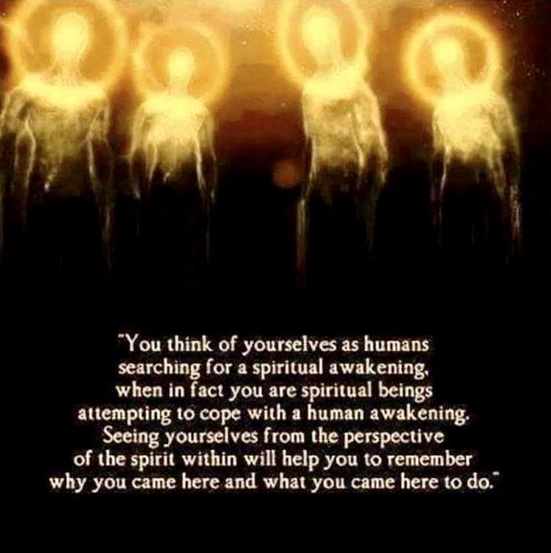 9-E01-E086-AD65-41-AF-8689-1-B53926-BE91