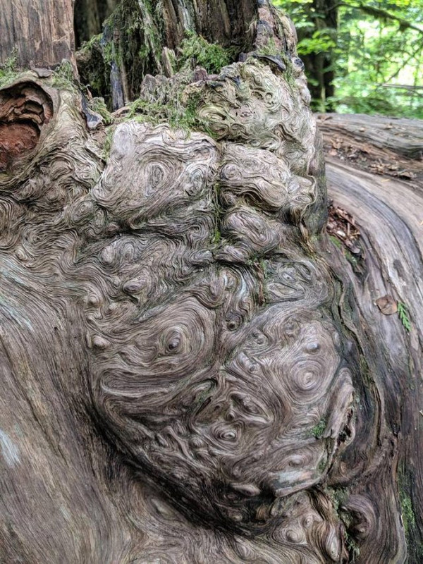 Naturaleza-6