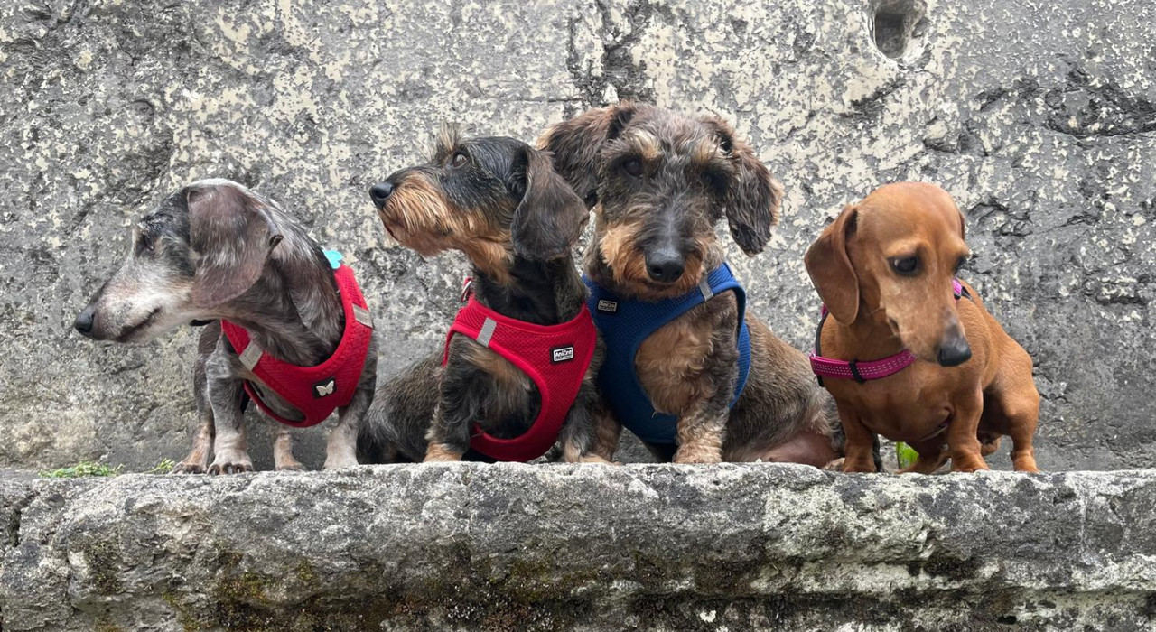 [Image: 20240629-185405.jpg]