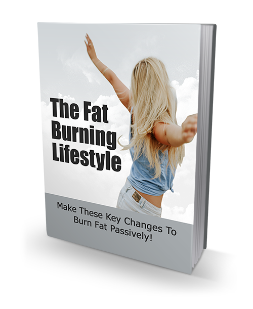The Fat Burning Lifestyle The Fat Burning Lifestyle