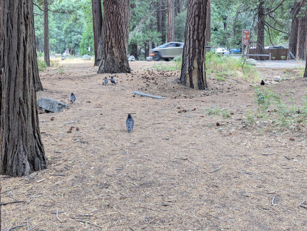 PXL_20250714_023704186.MP