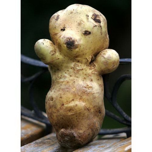 facebearpotato.jpg