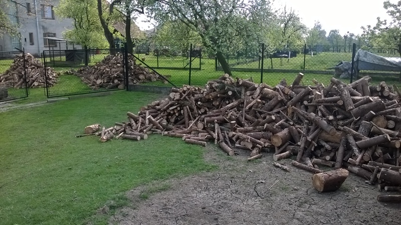 WP_20150502_15_20_54_Pro