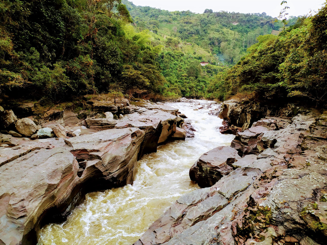 Colombia por libre en 18 días - Blogs de Colombia - Estrecho río Magdalena, Parque de San Agustín y ruta hasta Cali (2)