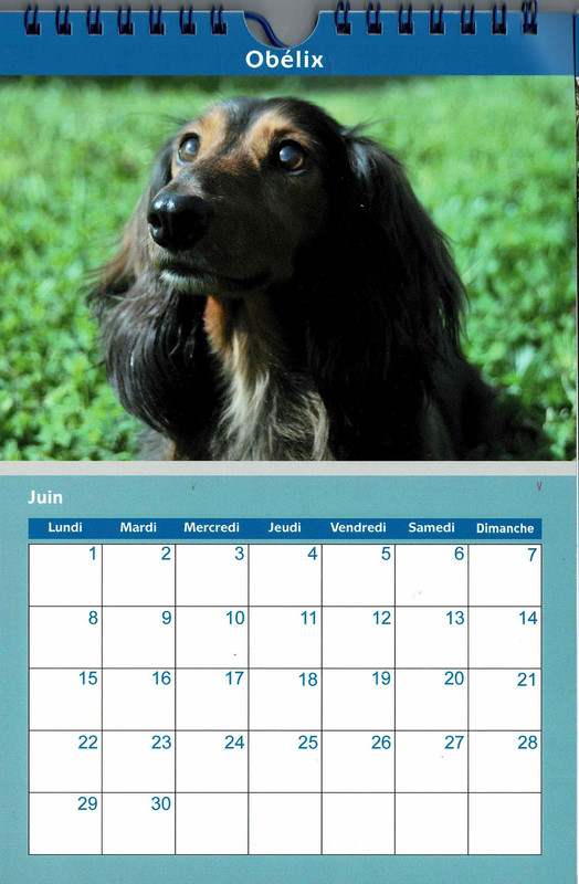 [Image: Num-risation-20250826-4-Copie.jpg]