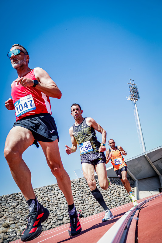 Canary Run 1418