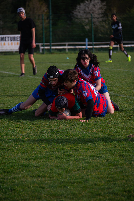 tournoi-de-latlantique-2026-adonis-griffon-254-55180358492-l