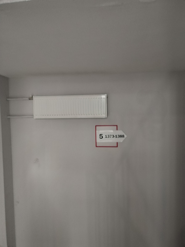 IMG 20260525 133909