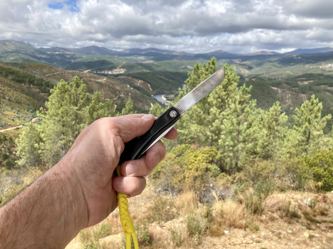 94520F83-6540-4E8B-9937-D5746C0A7DF2