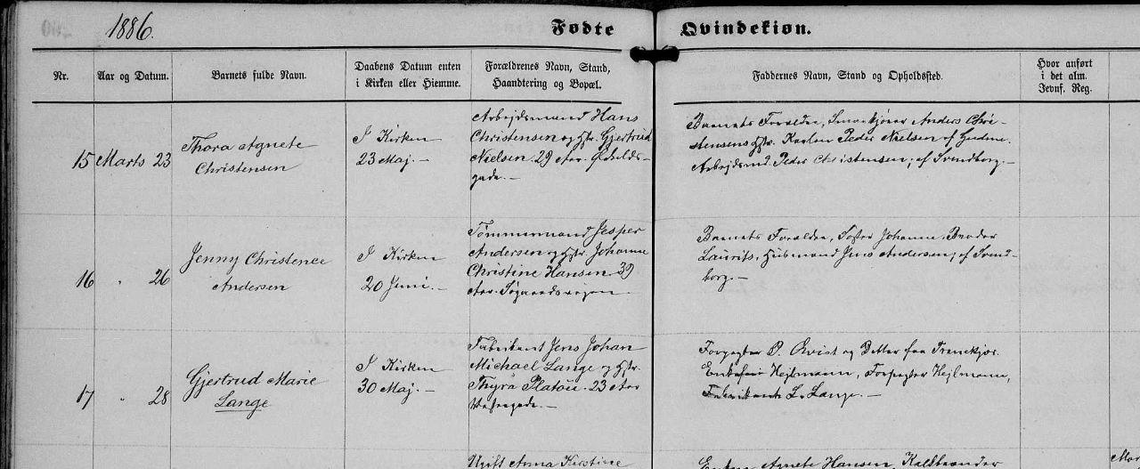 Без названия (86)