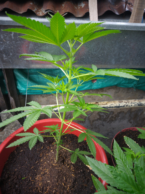 HC_20230105_072148_null