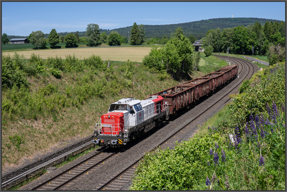 20260529 DSC0931
