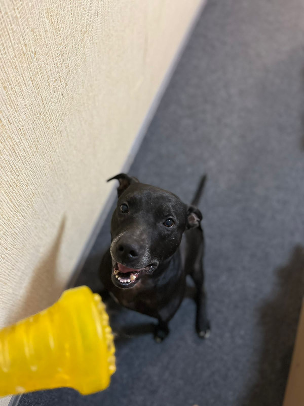 E2D03AA0-D55A-4A8A-8742-AE92CE4C856F