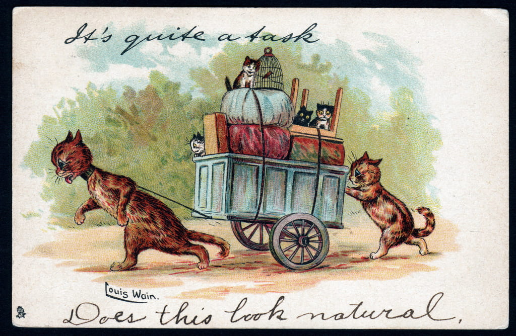 Louis-Wain-Its-quite-a-task-does-this-look-natural-Animaux-en-posture-detre-humain-Chats-ti-Mei