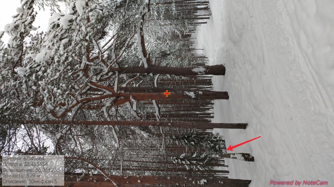 IMG 20260226 191650 7