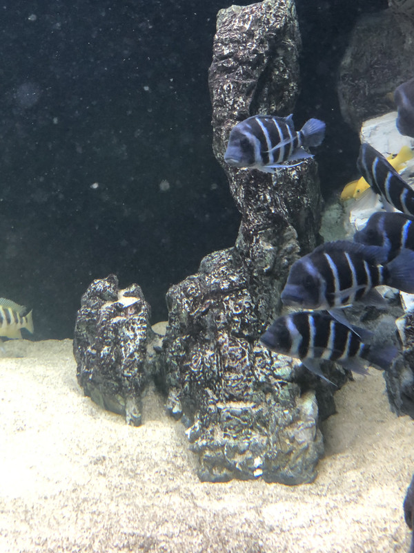 336AED1B-0766-4A1B-B251-D0C66CEF227C